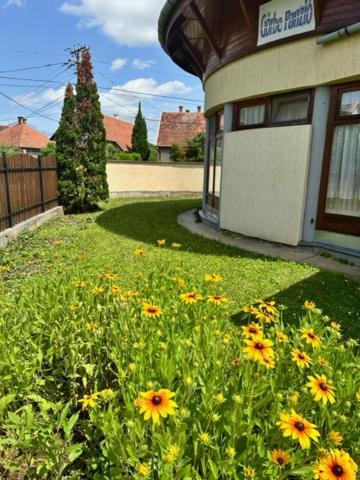 Cozy Garden Apartman Lägenhet Gyula Exteriör bild