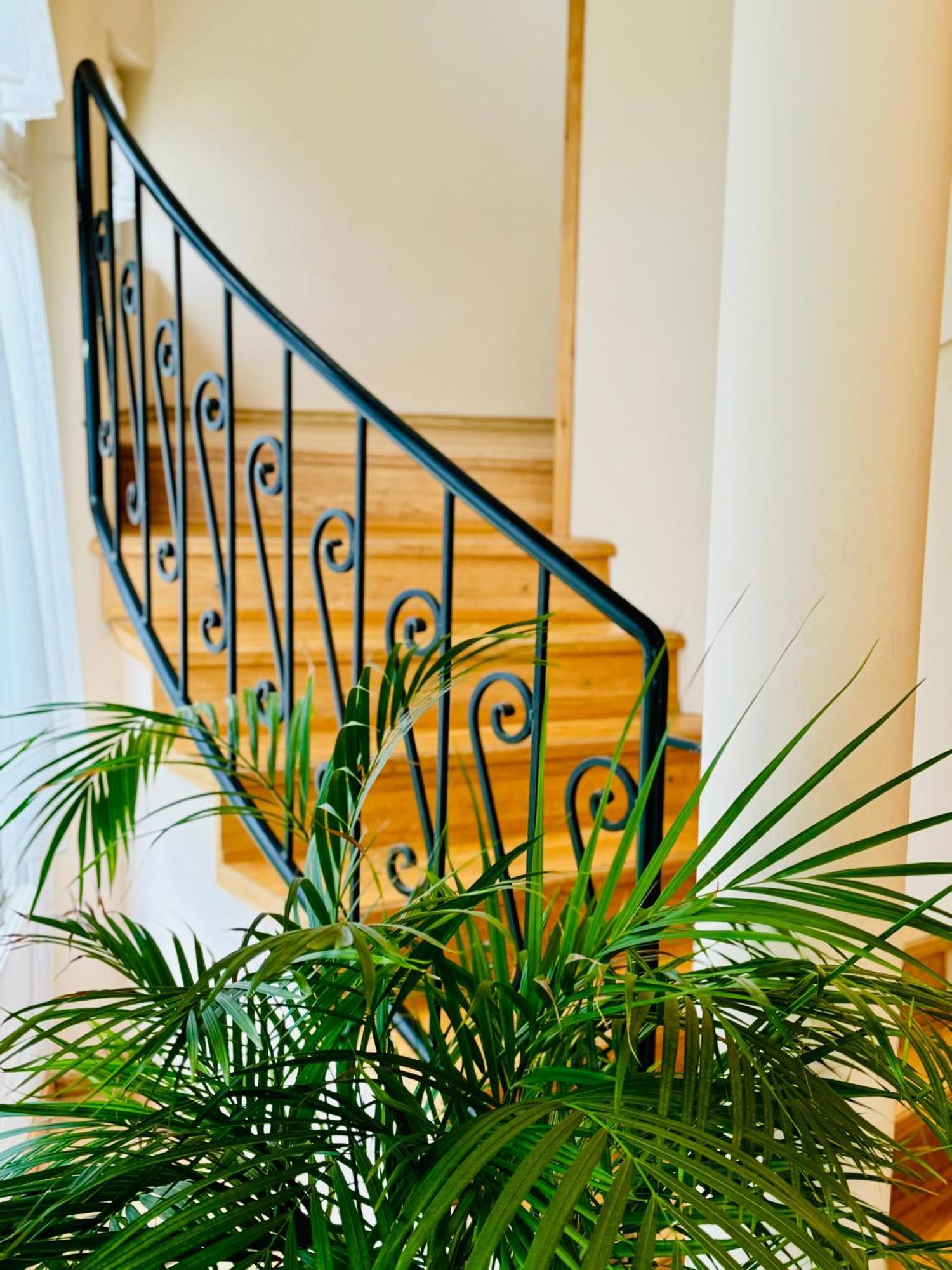Cozy Garden Apartman Lägenhet Gyula Exteriör bild